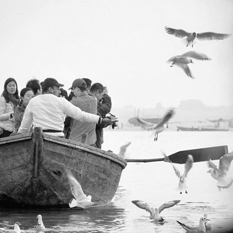 travel photography and image licensing, Siberian birds in Varanasi