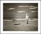 child on the beach